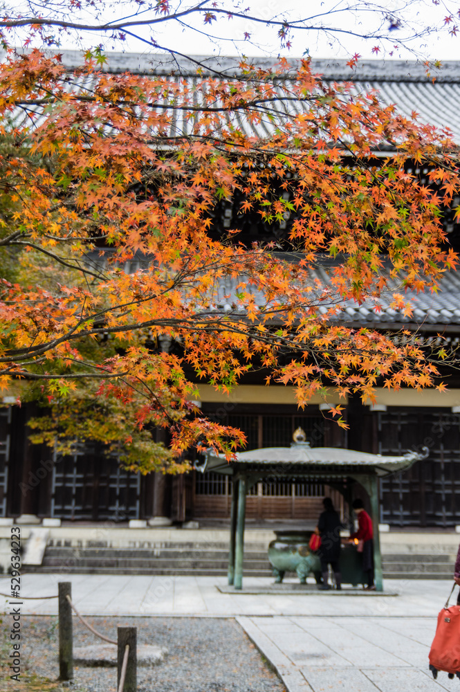 京都の紅葉