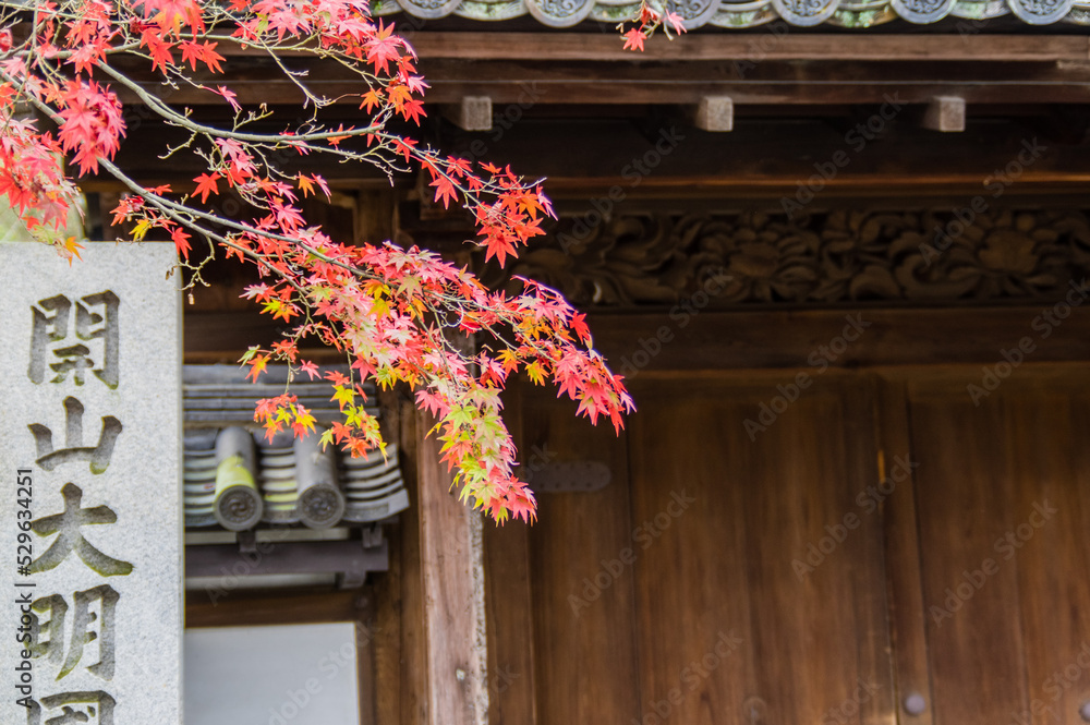 京都の紅葉