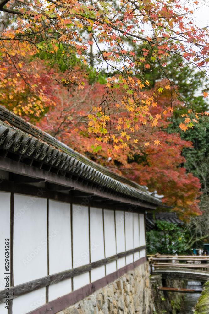 京都の紅葉