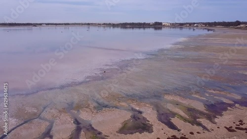 Aerial footage of pink lake full of salt with dry shore, clouds reflecting on the lake and sandy land with bushes in background, Retba lake, Dakar, Senegal, going backward over the water. photo