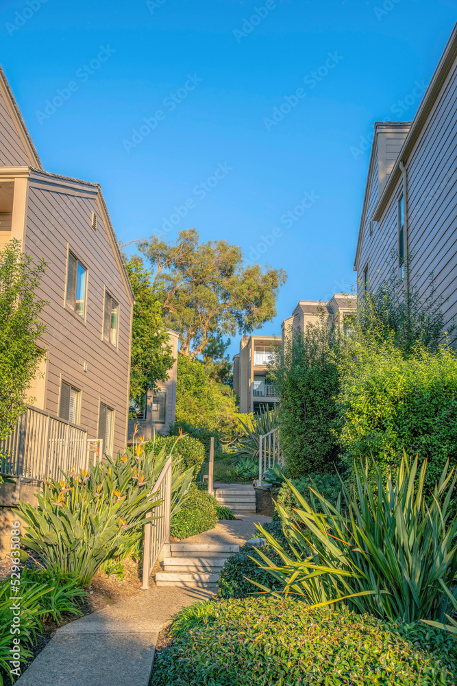 Pathway and stairway outside houses at Del Mar Southern California neighborhood Pathway and stairway outside houses at Del Mar Southern California neighborhood