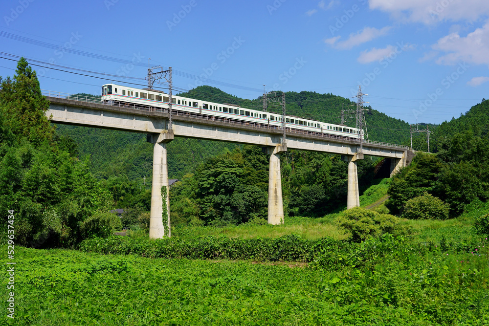 武甲山麓の橋梁を走る西武4000系電車