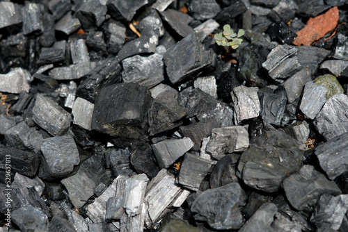 Wallpaper Mural selective focus of pile of dried wood charcoal  Torontodigital.ca