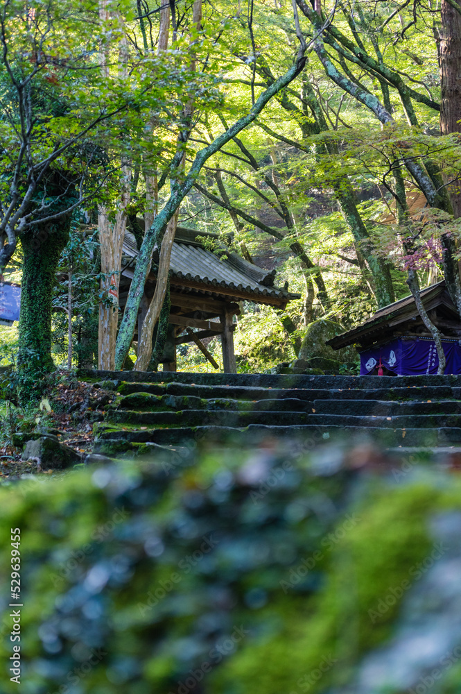 大阪府岸和田大威徳寺の秋風景
