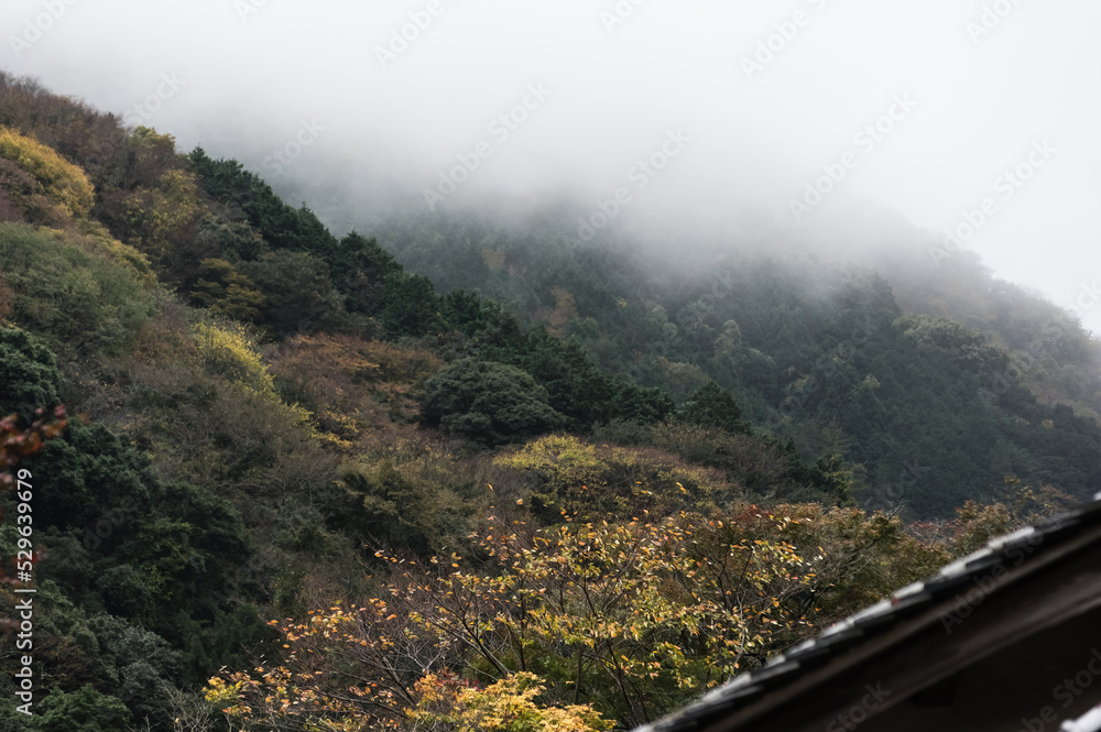 大阪府岸和田大威徳寺の秋風景