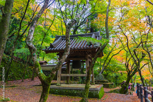 Obraz na płótnie 大阪府岸和田大威徳寺の秋風景 w salonie