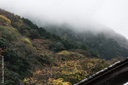Obraz na płótnie 大阪府岸和田大威徳寺の秋風景 w salonie
