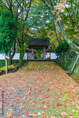 Obraz na płótnie 大阪府岸和田大威徳寺の秋風景 w salonie