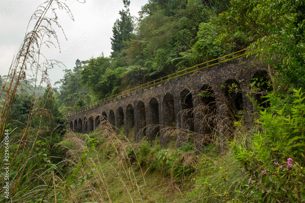 Fototapeta premium Ancient old bridge with grass