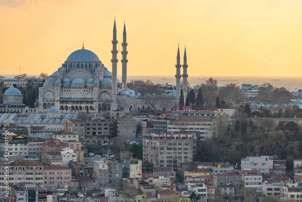 Obraz premium Istanbul Hagia Sophia mosque with city panorama and Golden Horn.