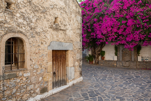 Fototapeta Naklejka Na Ścianę i Meble -  Narrow and colorful street in the village of Kritsa in the island of Crete. White street, beautiful traditional housing in Greece. 