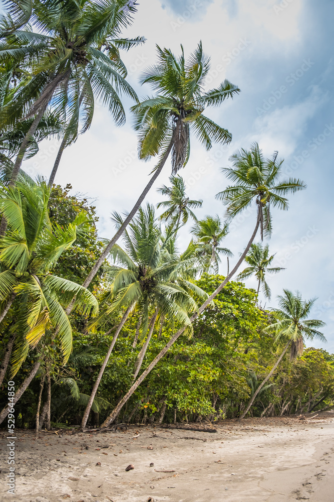 Obraz premium playa4