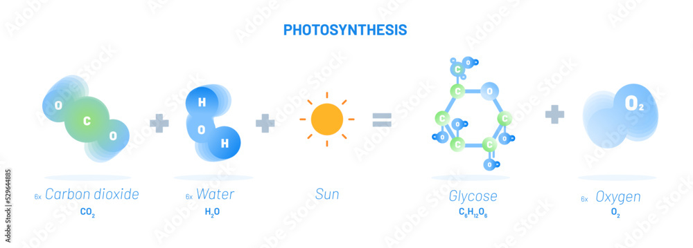 Photosynthesis reaction vector illustration concept. Carbon dioxide with Water and Sun  resulting into Oxygen and Glycose. Educational template for Chemistry and Biology