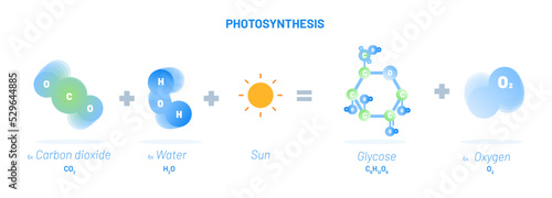 Photosynthesis reaction vector illustration concept. Carbon dioxide with Water and Sun  resulting into Oxygen and Glycose. Educational template for Chemistry and Biology