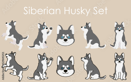 Simple and adorable Siberian Husky dog illustrations set
