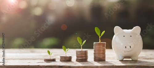 Money coin stack growing plants on coins with piggy bank. Concept of save money, saving, investment, finance plan, income, business, finance, retirement, loan, growth, deposit, management, tax, bank
