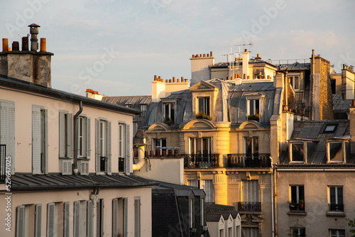 Paris, France. August 2022. The zinc roofs of Paris.