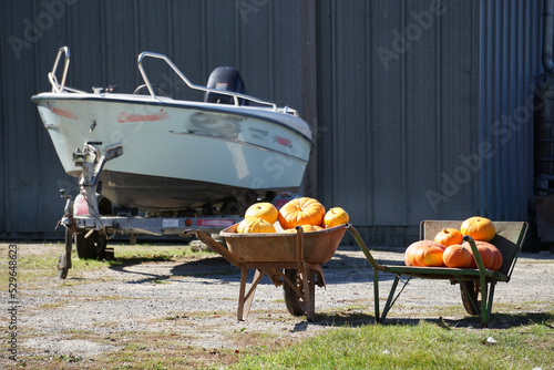 Fotografia wheelbarrow on the ground with pumpkins for sale by a motor boat in brittany fra