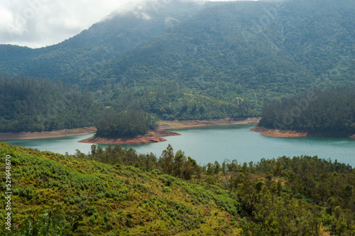 Wallpaper Mural Towering mountains, sprawling tea gardens, rivers, nature's gift of greenery everywhere is the way one can explain the beauty of Ooty. Torontodigital.ca