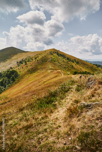 Mountain trail in Carpathian Mountains, Ukraine. Walking and hiking trails in Borzhava ridge. Rural area of carpathian mountains in autumn