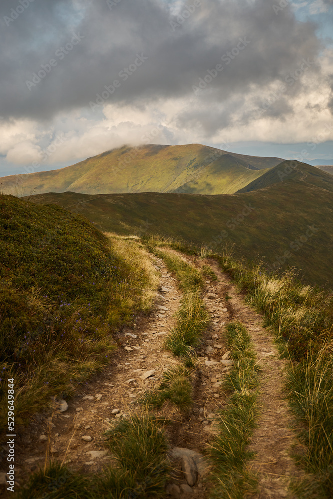Naklejka premium Mountain trail in Carpathian Mountains, Ukraine. Walking and hiking trails in Borzhava ridge. Rural area of carpathian mountains in autumn
