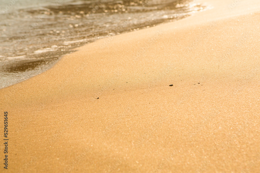 Background with golden sand on the coast of the island of Crete. Abstract surface with sand and clear sea water for text. Background with golden sand on the coast of the island of Crete. Abstract surface with sand and clear sea water for text.