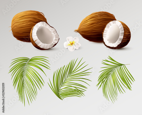3d coconut realistic. Whole and half coco different side view, palm leaves and tropical flower. Cosmetic packaging design isolated elements palm oil and milk. Healthy food vector isolated illustration