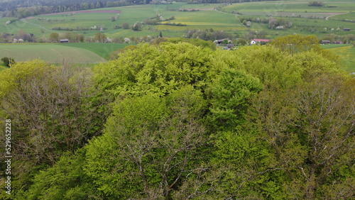 Kleiner Wald in den Schwarzen Bergen der Rhön im Frühling 