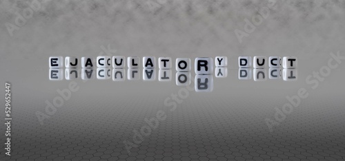 ejaculatory duct word or concept represented by black and white letter cubes on a grey horizon background stretching to infinity photo