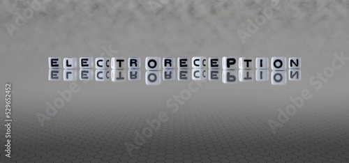 electroreception word or concept represented by black and white letter cubes on a grey horizon background stretching to infinity photo
