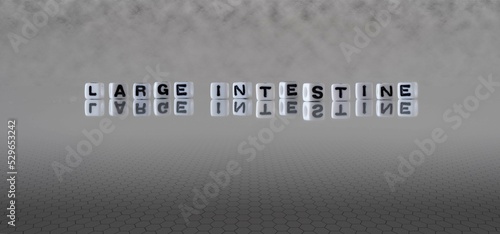 large intestine word or concept represented by black and white letter cubes on a grey horizon background stretching to infinity