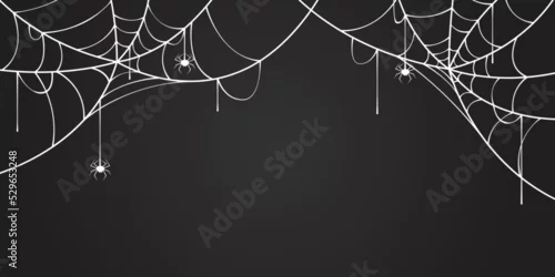 Naklejka na ścianę spider web background, halloween template