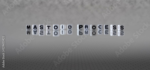 mastoid process word or concept represented by black and white letter cubes on a grey horizon background stretching to infinity photo