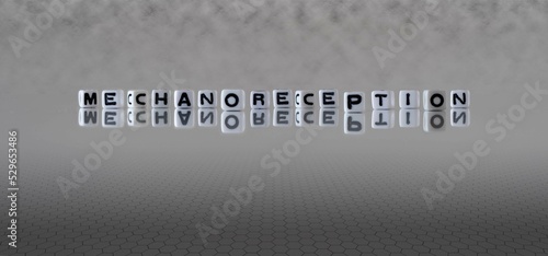 mechanoreception word or concept represented by black and white letter cubes on a grey horizon background stretching to infinity