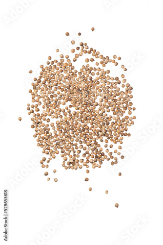 Macro photo of coriander seeds on a white isolated background.
