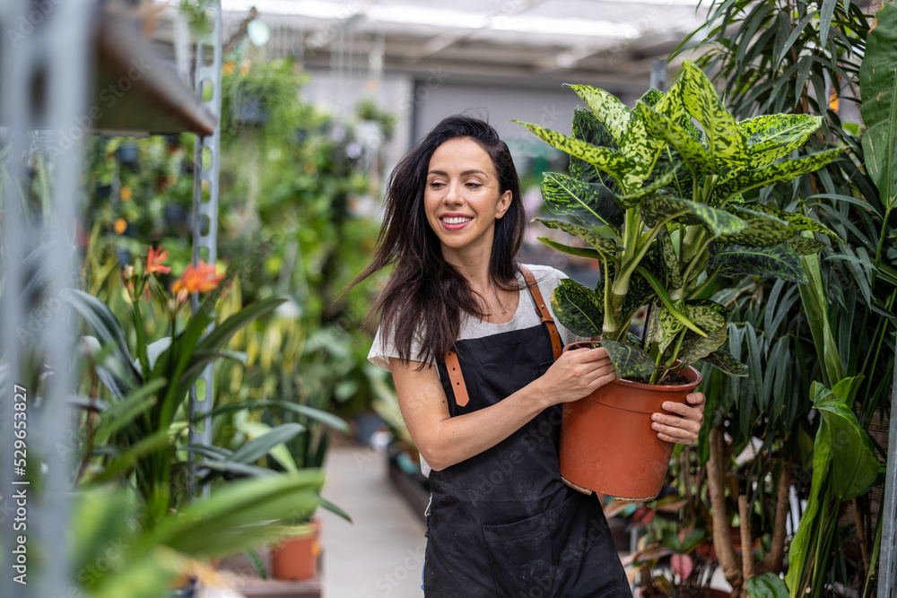 Shot of a young woman working with plants in a garden centre Shot of a young woman working with plants in a garden centre