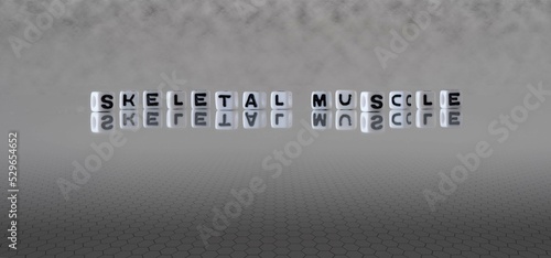 skeletal muscle word or concept represented by black and white letter cubes on a grey horizon background stretching to infinity