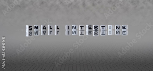 small intestine word or concept represented by black and white letter cubes on a grey horizon background stretching to infinity