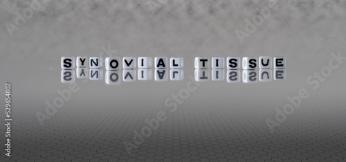 synovial tissue word or concept represented by black and white letter cubes on a grey horizon background stretching to infinity photo