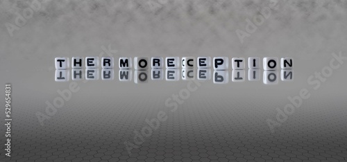 thermoreception word or concept represented by black and white letter cubes on a grey horizon background stretching to infinity