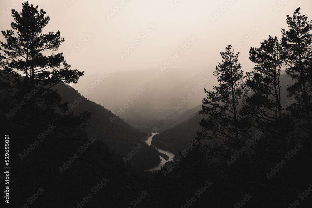 View from the conquered mountain peak: the rerkhushki trees, the river and the mountains below, a hazy haze in the distance View from the conquered mountain peak: the rerkhushki trees, the river and the mountains below, a hazy haze in the distance