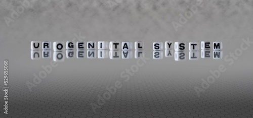 urogenital system word or concept represented by black and white letter cubes on a grey horizon background stretching to infinity