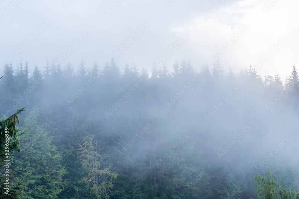 foggy day in Slovakian mountains after heavy rain, Poľana, Slovakia, Europe