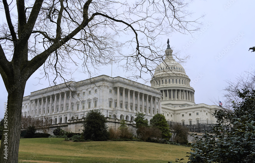 Obraz premium View of the senate capitol building in Washington DC during cloudy day in winter 2022. View from National mall