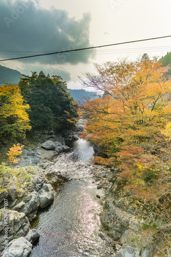 Obraz na płótnie 奈良県天川村の秋風景 w salonie
