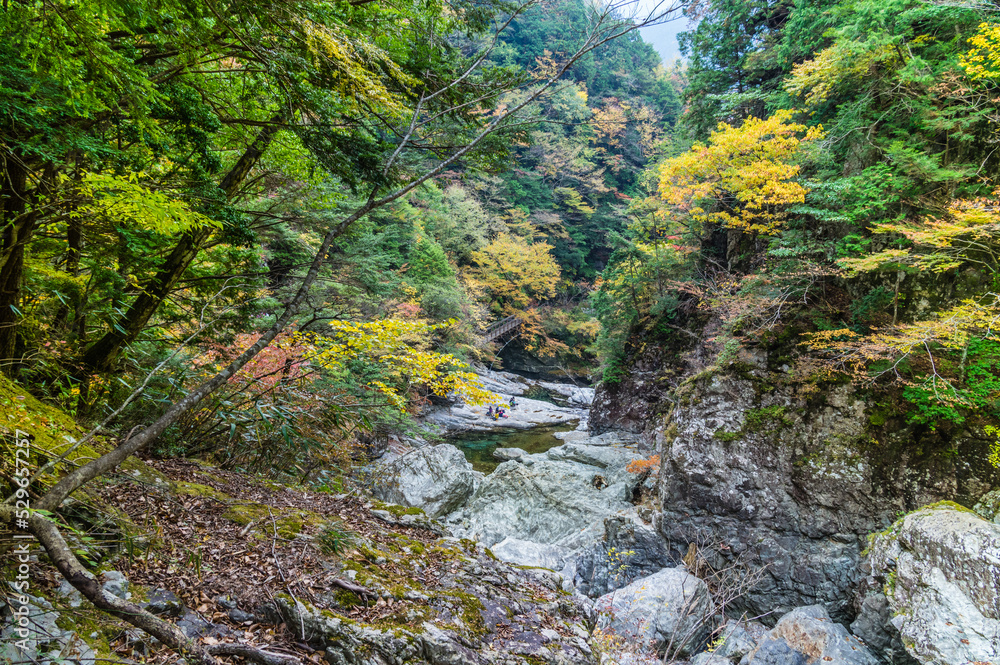 奈良県天川村の秋風景