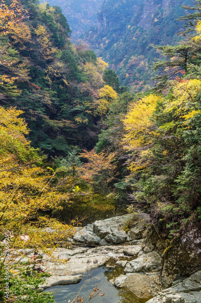 奈良県天川村の秋風景