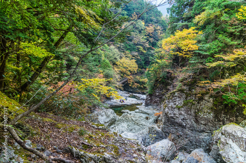 Obraz na płótnie 奈良県天川村の秋風景 w salonie
