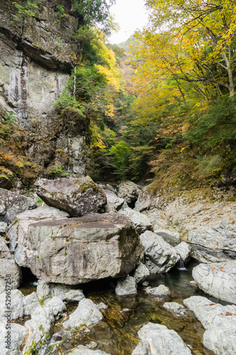 Obraz na płótnie 奈良県天川村の秋風景 w salonie