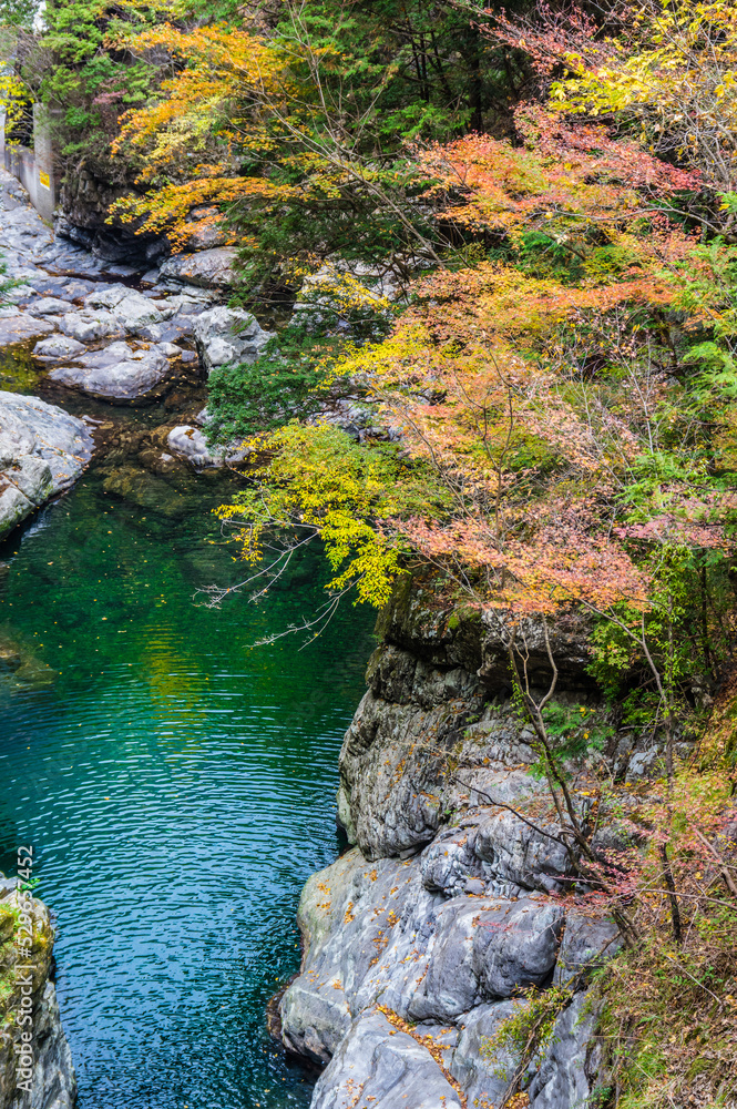 奈良県天川村の秋風景